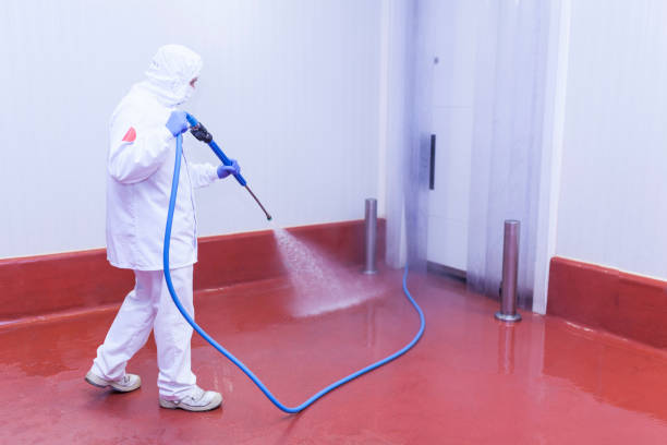 Best Oil Spill Cleanup  in South Point, OH